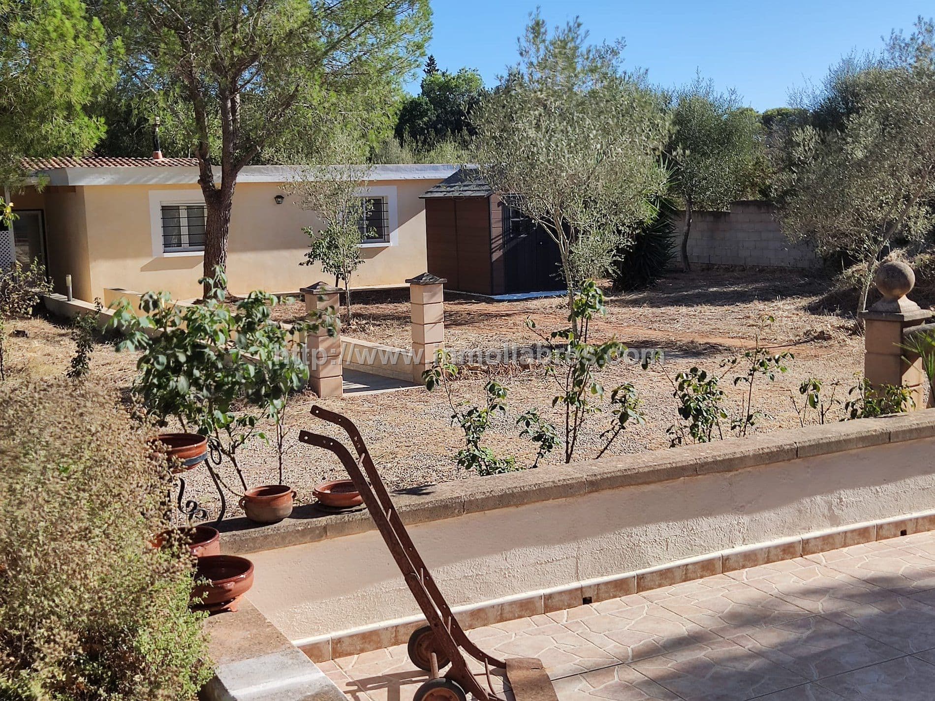 BONITA FINCA RUSTICA EN SENSELLES - Foto 2