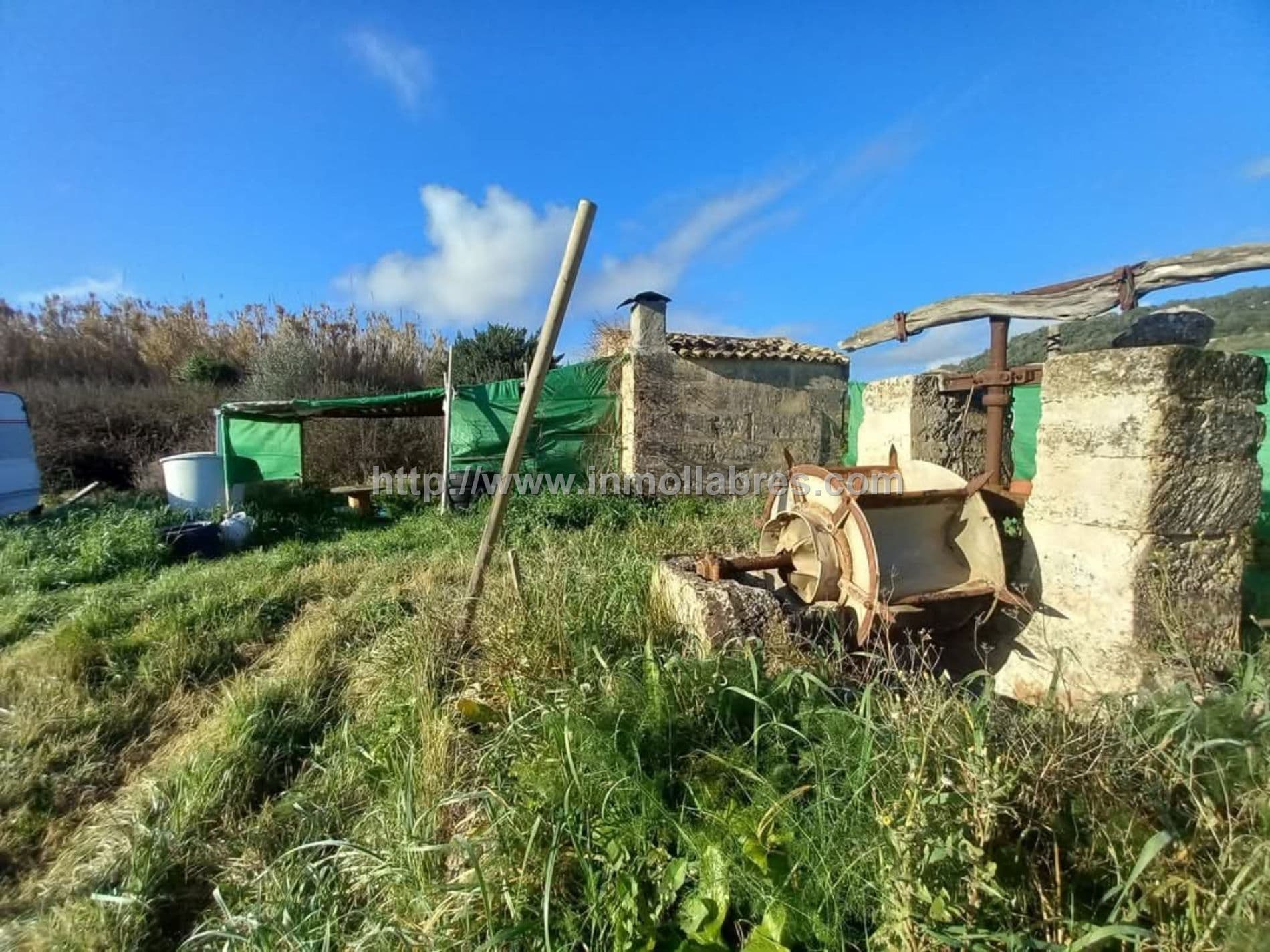 BONITA FINCA EN PETRA - Foto 1