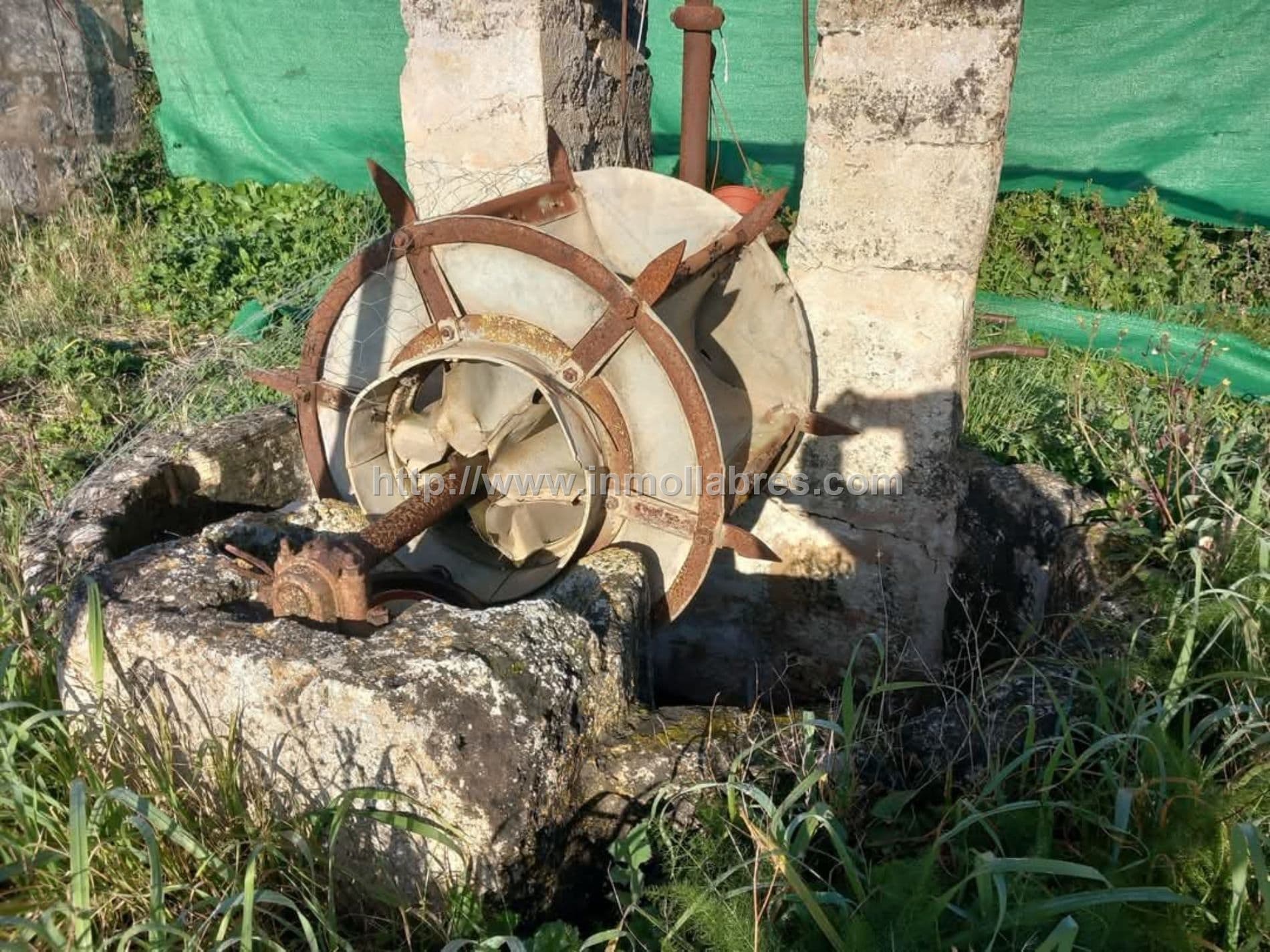 BONITA FINCA EN PETRA - Foto 5