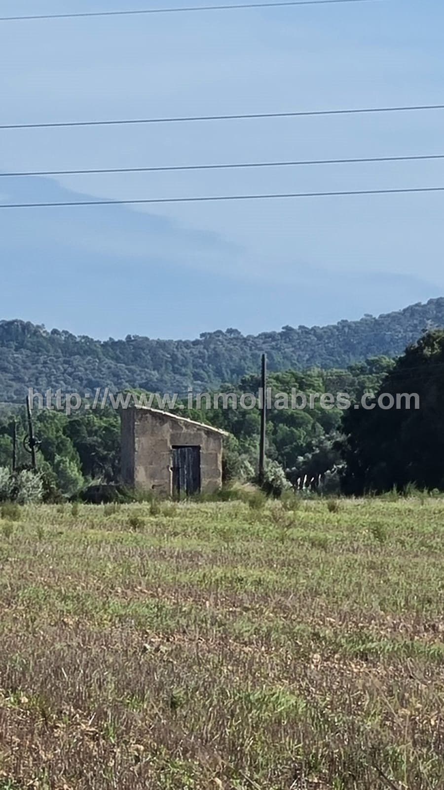 BONITA FINCA EDIFICABLE EN MANACOR - Foto 2