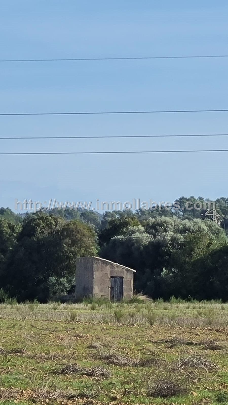 BONITA FINCA EDIFICABLE EN MANACOR - Foto 4