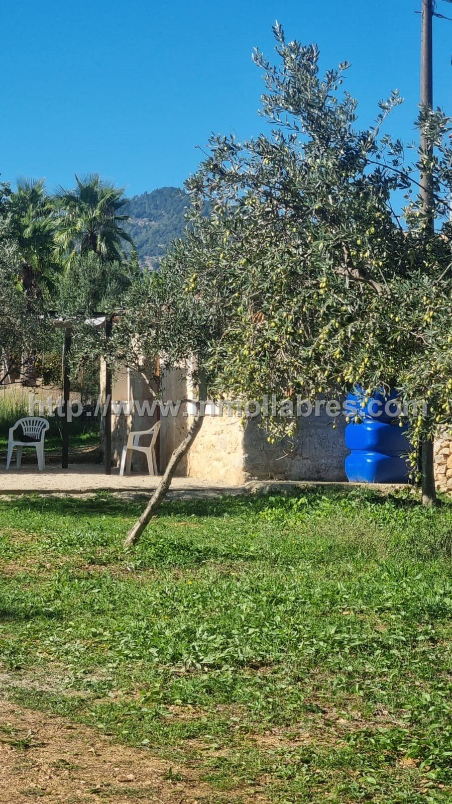 PRECIOSA FINCA EN ALQUILER - Foto 5