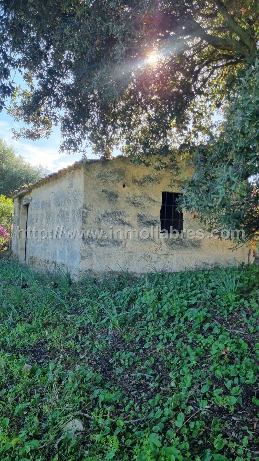 PRECIOSA FINCA RUSTICA EN EL TERMINO DE SELVA - Foto 3