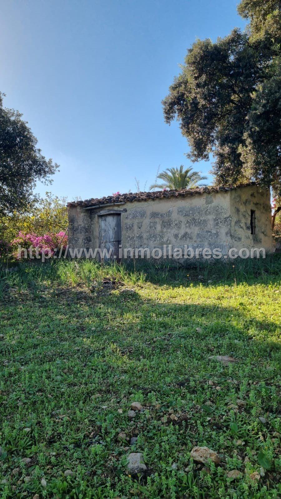 PRECIOSA FINCA RUSTICA EN EL TERMINO DE SELVA - Foto 2