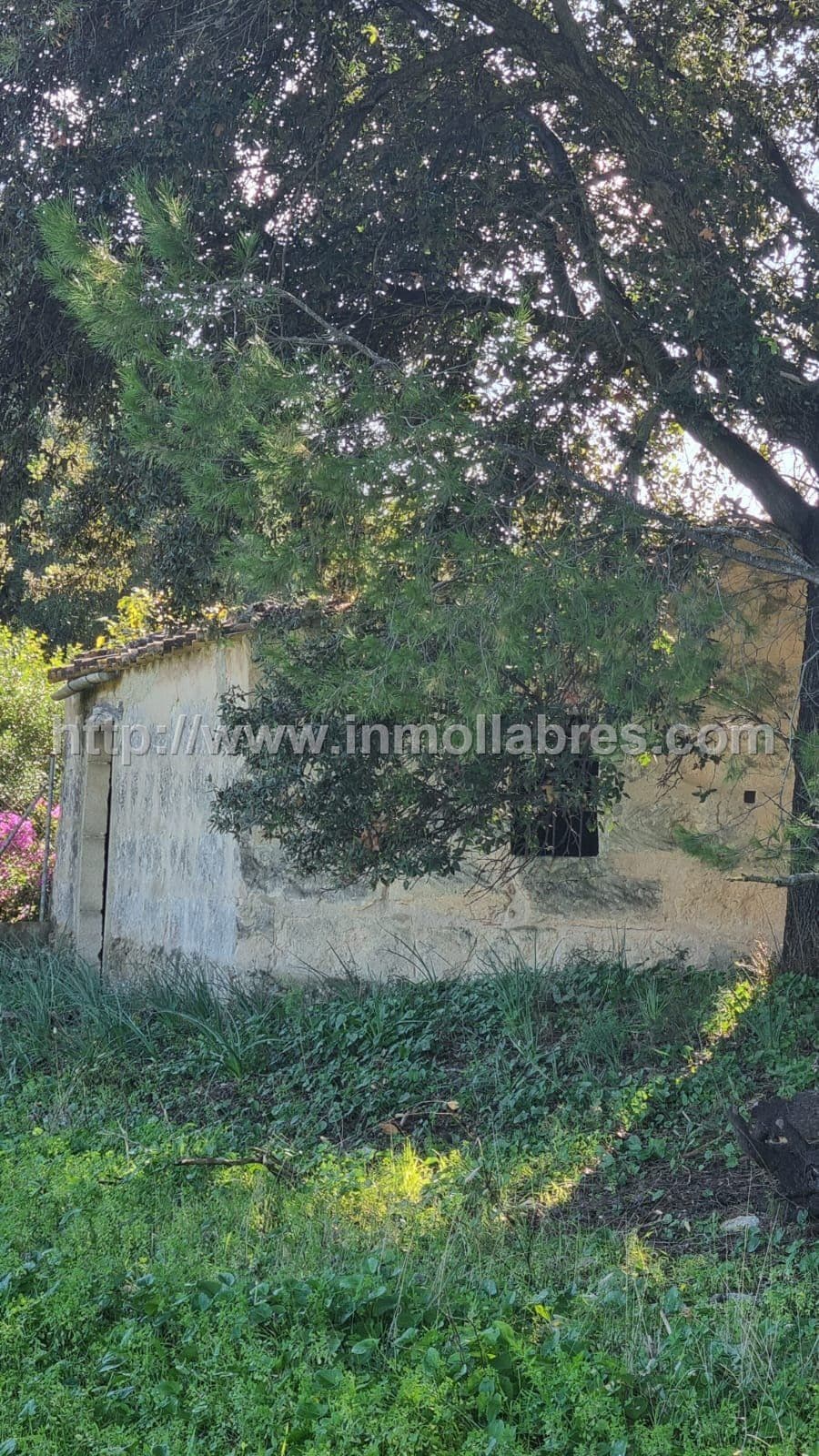 PRECIOSA FINCA RUSTICA EN EL TERMINO DE SELVA - Foto 4