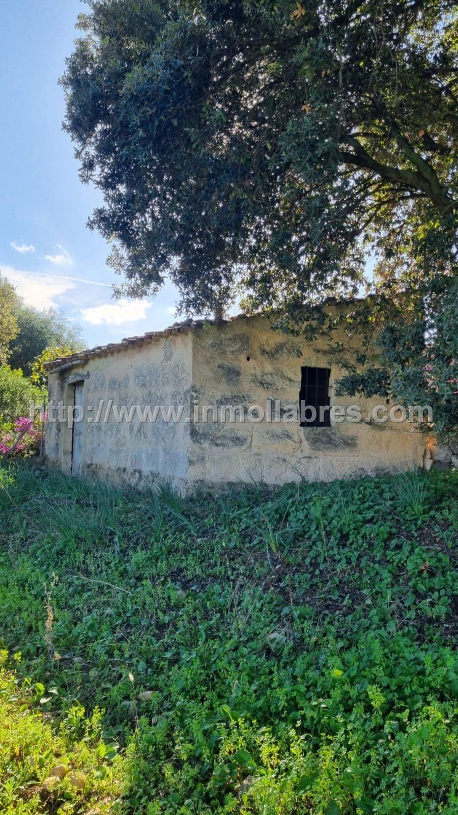 PRECIOSA FINCA RUSTICA EN EL TERMINO DE SELVA - Foto 1