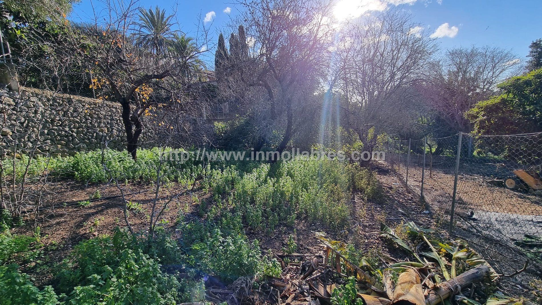 CASA DE PUEBLO EN CAMPANET - Foto 4
