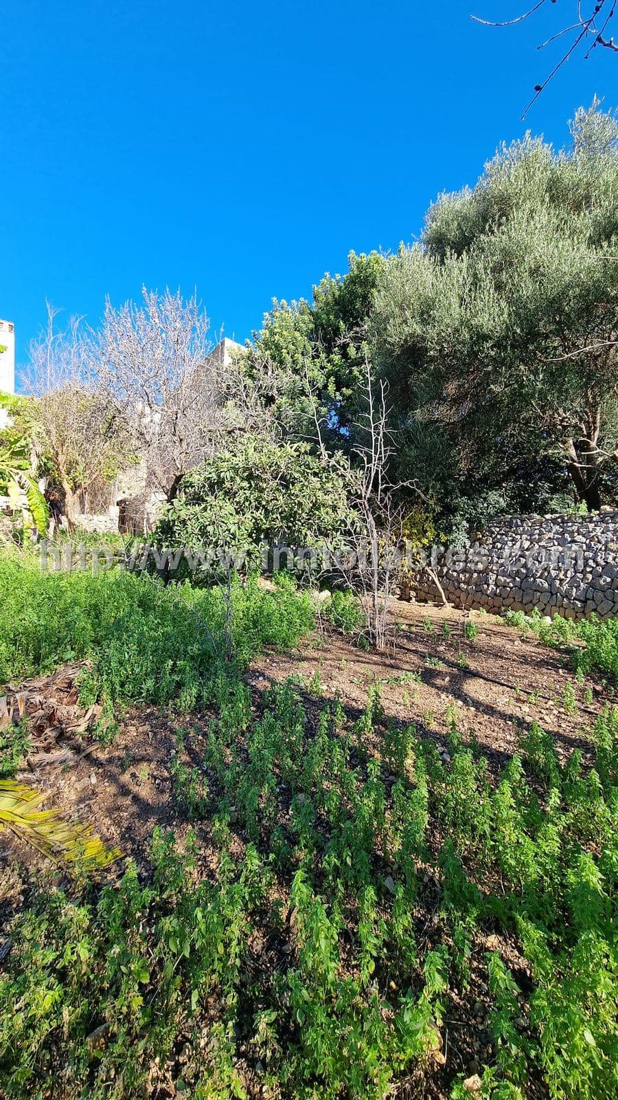 CASA DE PUEBLO EN CAMPANET - Foto 5