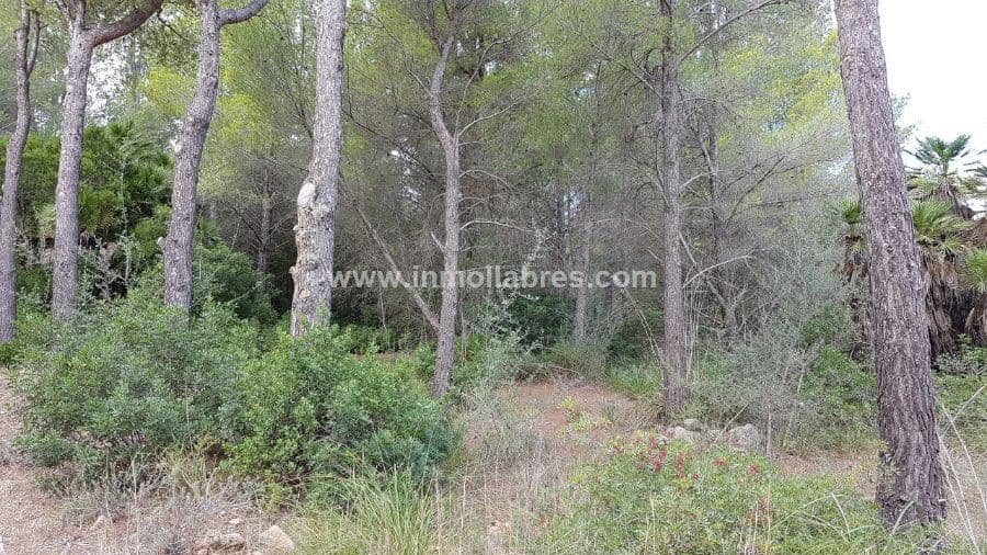 OPORTUNIDAD SOLAR EN BETLEM - Foto 1