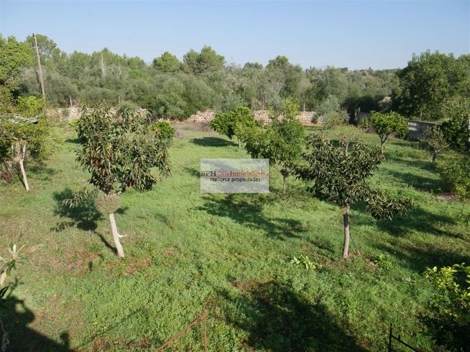 FINCA RÚSTICA EN SANCELLAS - Foto 2