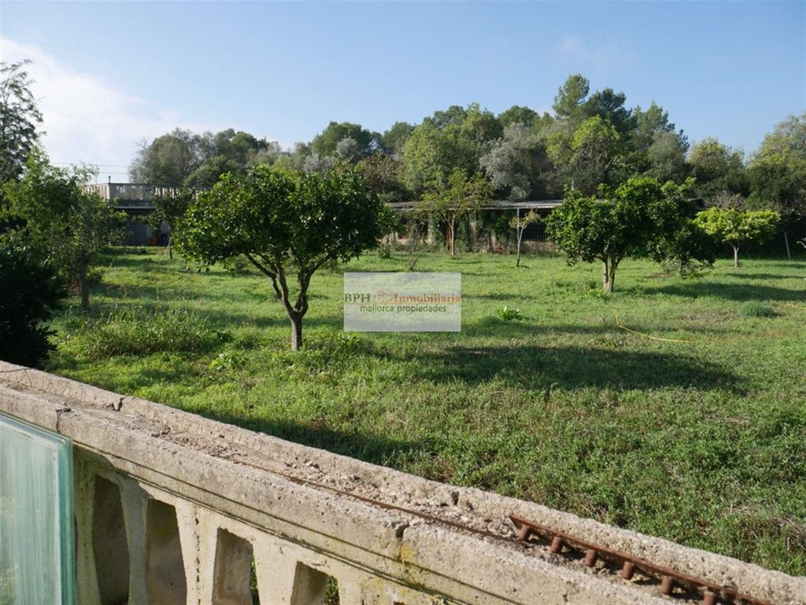 FINCA RÚSTICA EN SANCELLAS - Foto 4