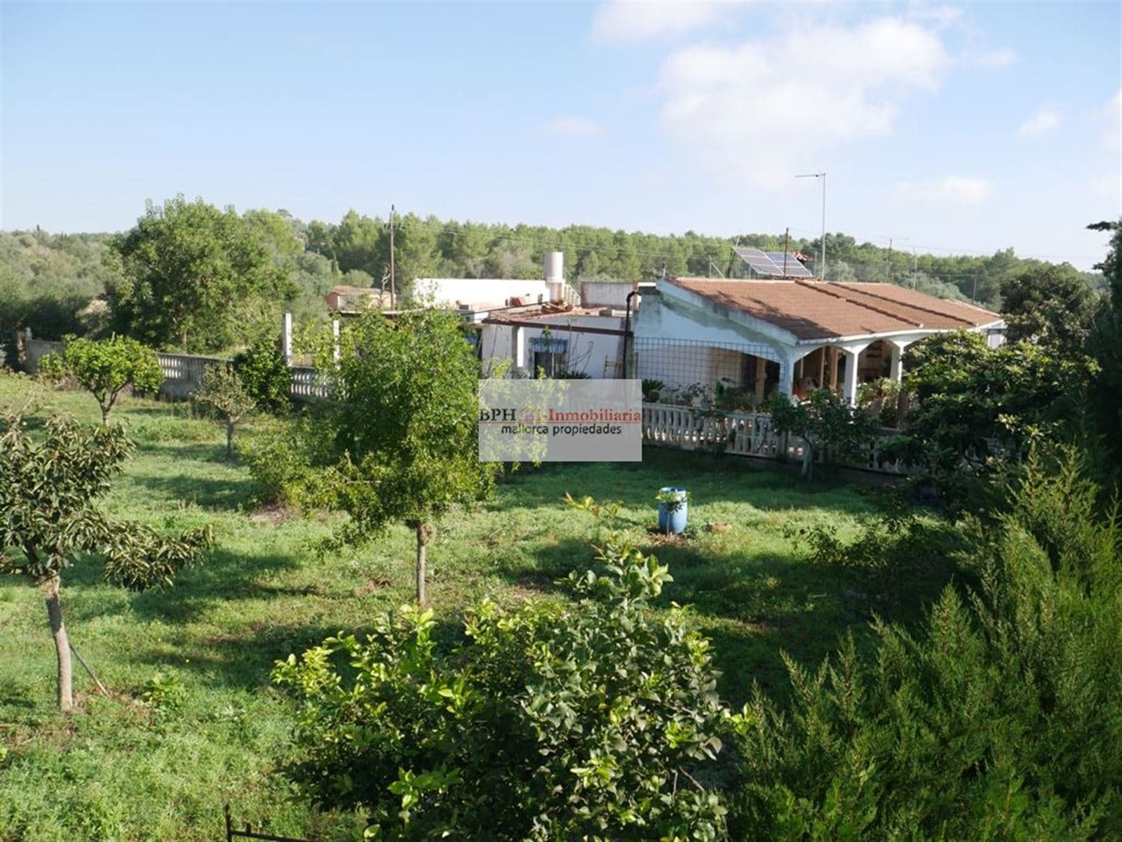 FINCA RÚSTICA EN SANCELLAS - Foto 1