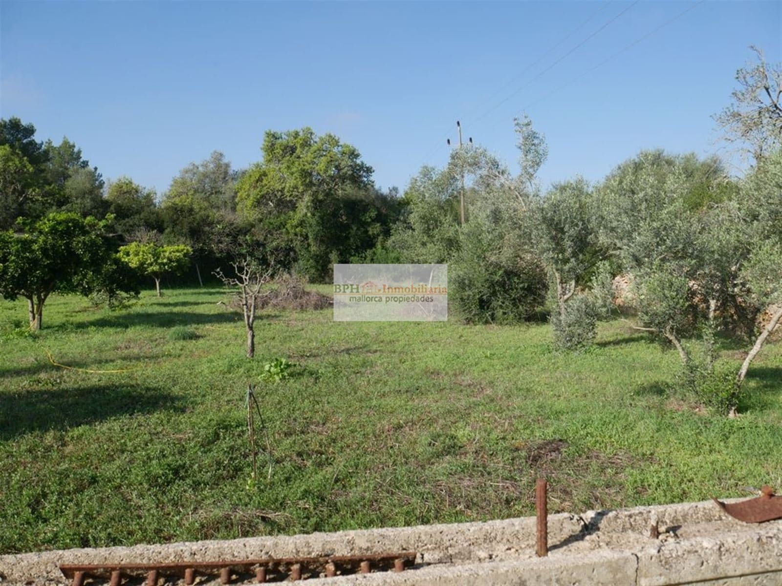 FINCA RÚSTICA EN SANCELLAS - Foto 3