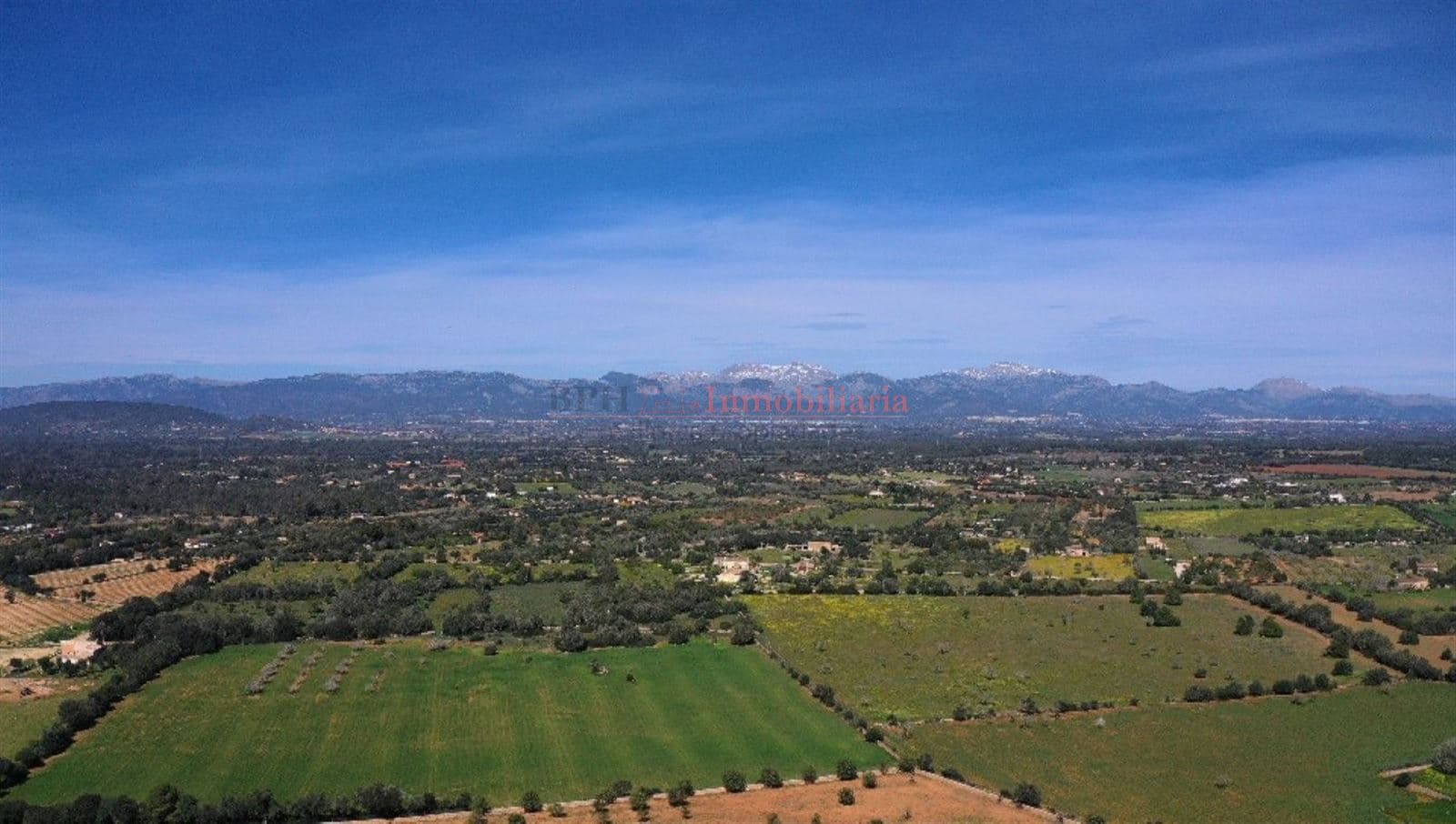 FINCA RÚSTICA LEGAL - Foto 4