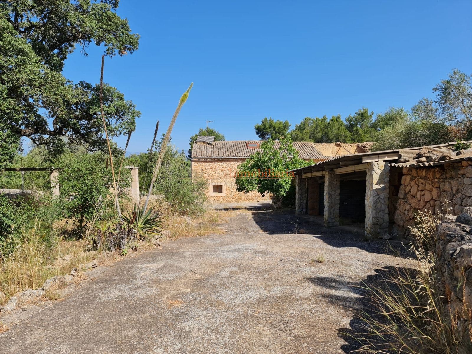 CASA ANTIGUA MALLORQUINA DE 1840 CON ENCANTO A REFORMAR - EXCLUSIVA - Foto 2
