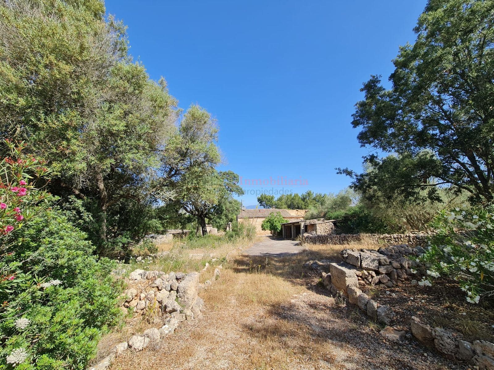 CASA ANTIGUA MALLORQUINA DE 1840 CON ENCANTO A REFORMAR - EXCLUSIVA - Foto 3