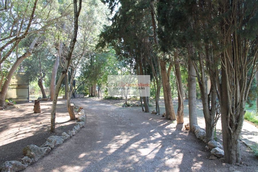 FINCA EN UN SOLAR DE 9758 M2 - Foto 2