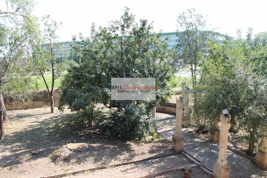 FINCA EN UN SOLAR DE 9758 M2 - Foto 4