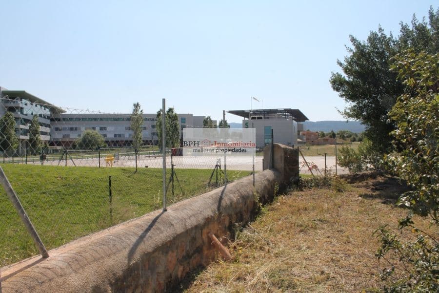 FINCA EN UN SOLAR DE 9758 M2 - Foto 5