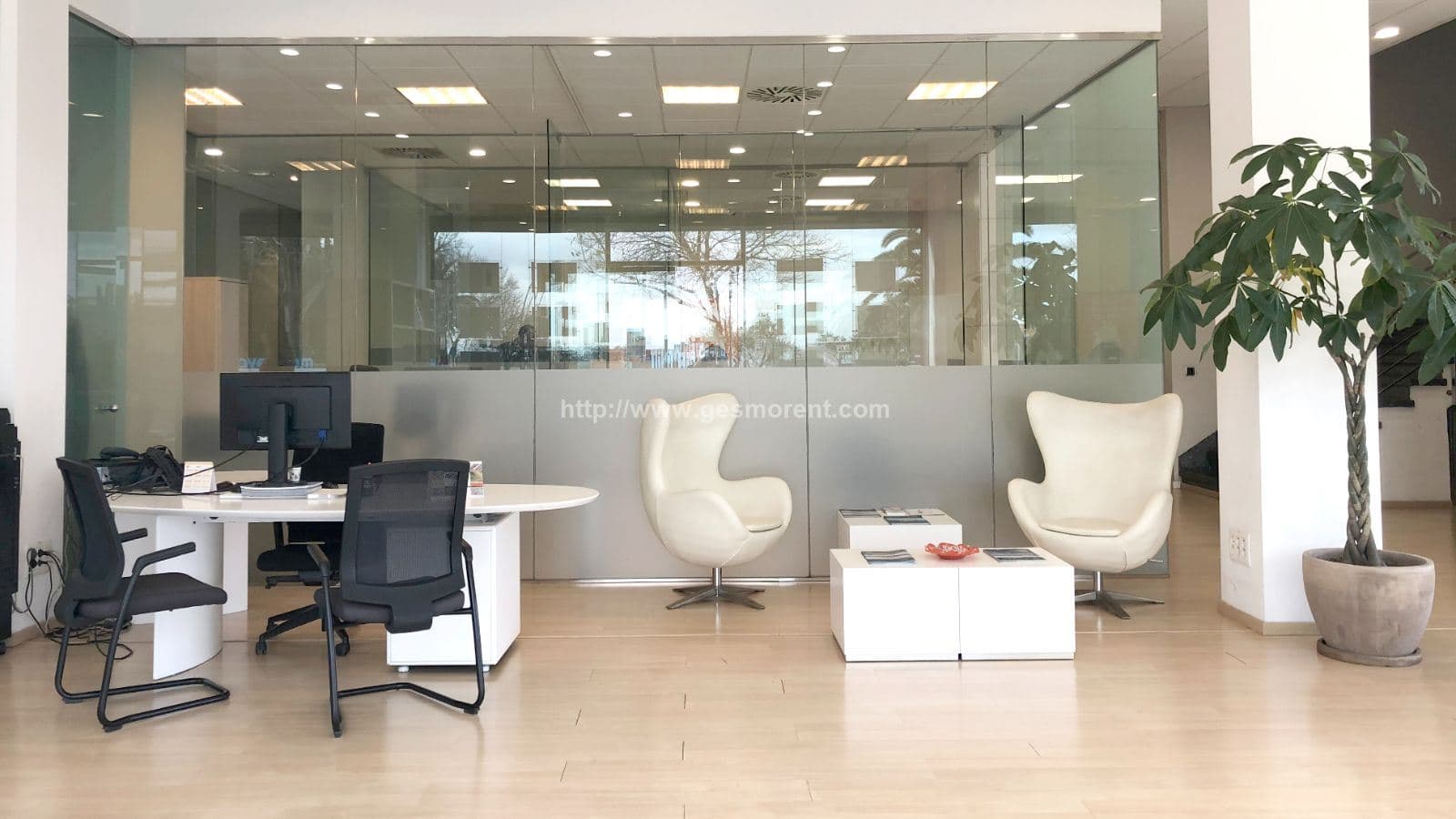 LOCAL EN VENTA Y ALQUILER JUNTO A GRAN VIA ASIMA - Foto 5