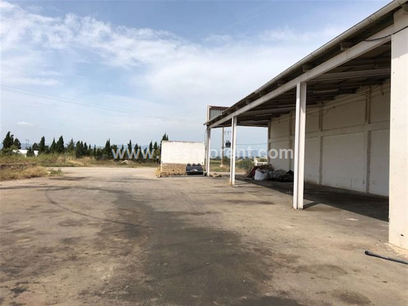 NAVE/ALMACÉN AGRÍCOLA EN VENTA EN SAN JORDI - Foto 4