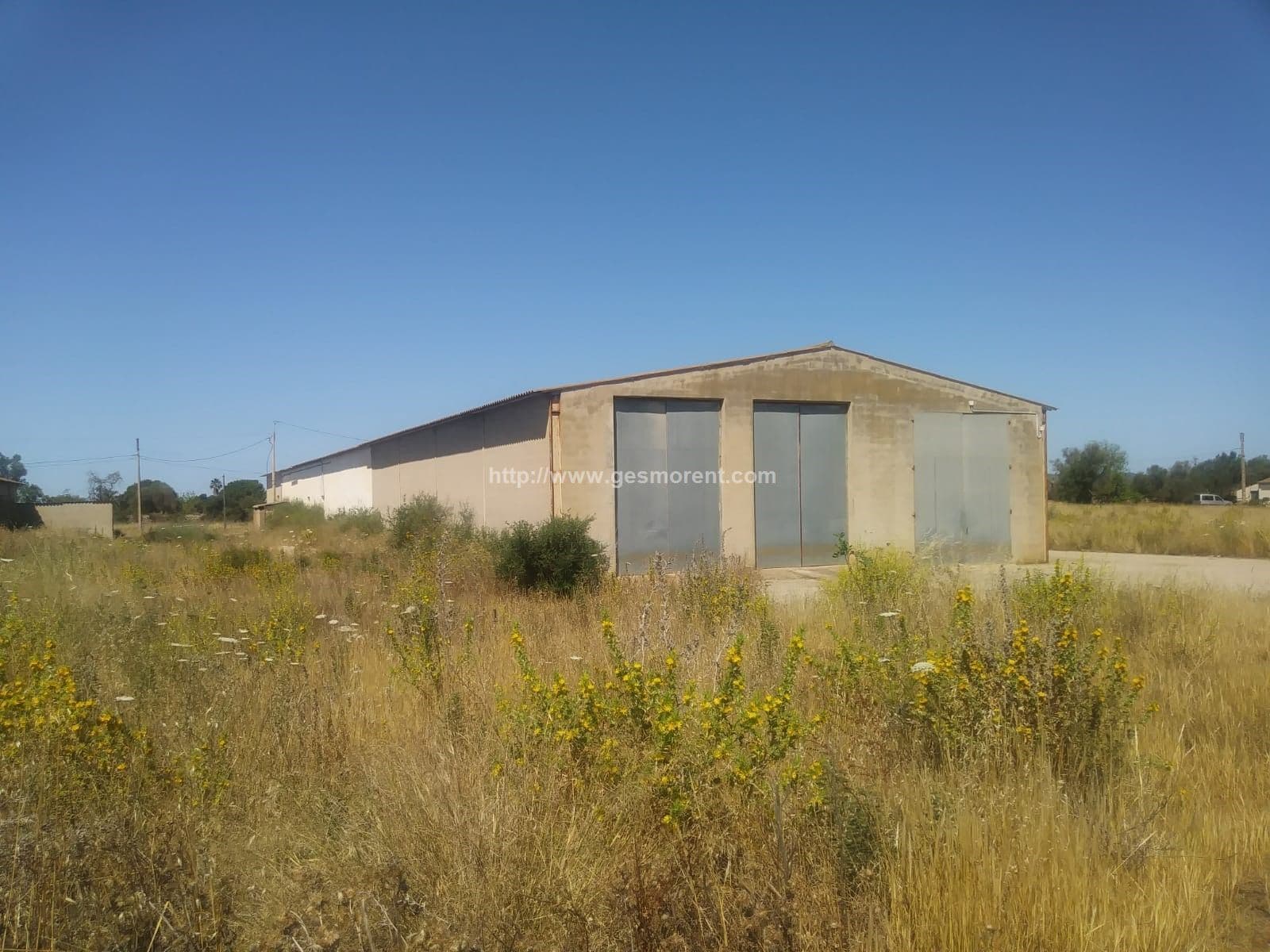 NAVE AGRÍCOLA EN ALQUILER EN FELANITX - Foto 2