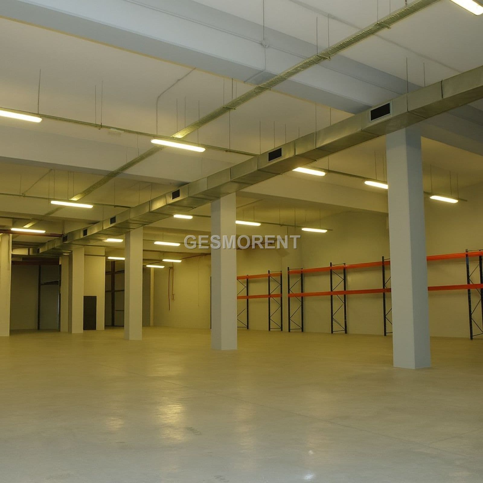 NAVE INDUSTRIAL / LOGISTICA EN VENTA EN ELCHE, ALICANTE - Foto 5
