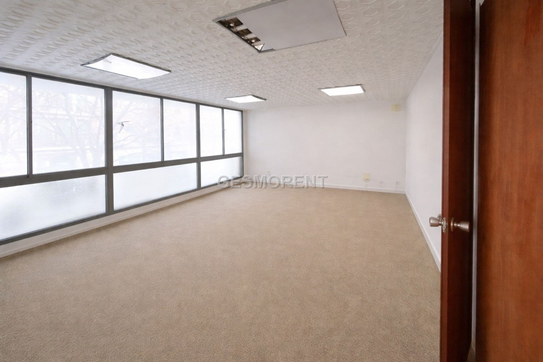 OFICINA EN ALQUILER Y VENTA EN ZONA BONS AIRES - Foto 2