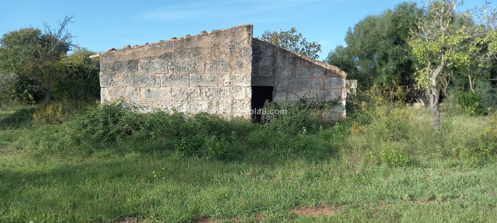 Finca - Buger - Foto 3