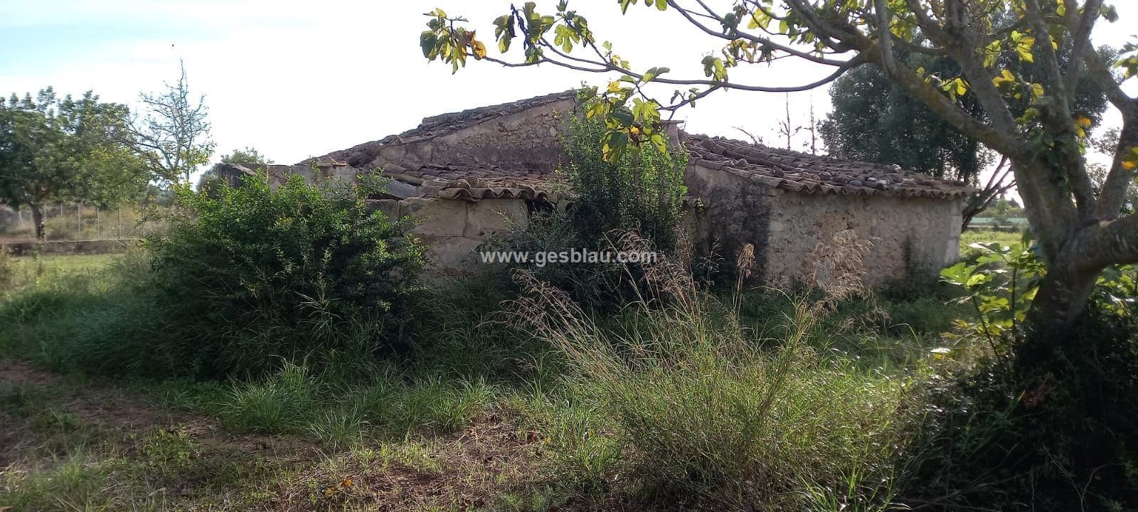 Finca - Buger - Foto 5