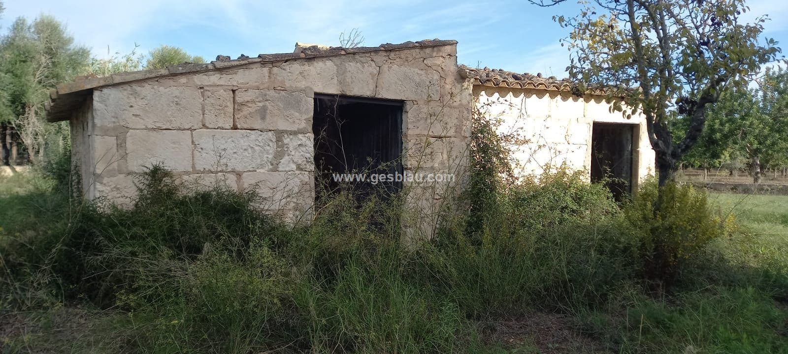 Finca - Buger - Foto 2