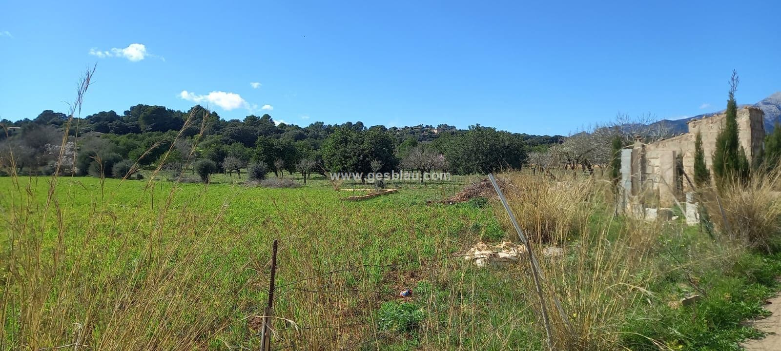 Oportunidad rustica en Campanet - Foto 4