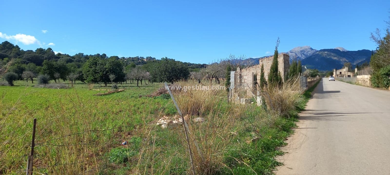 Oportunidad rustica en Campanet - Foto 3