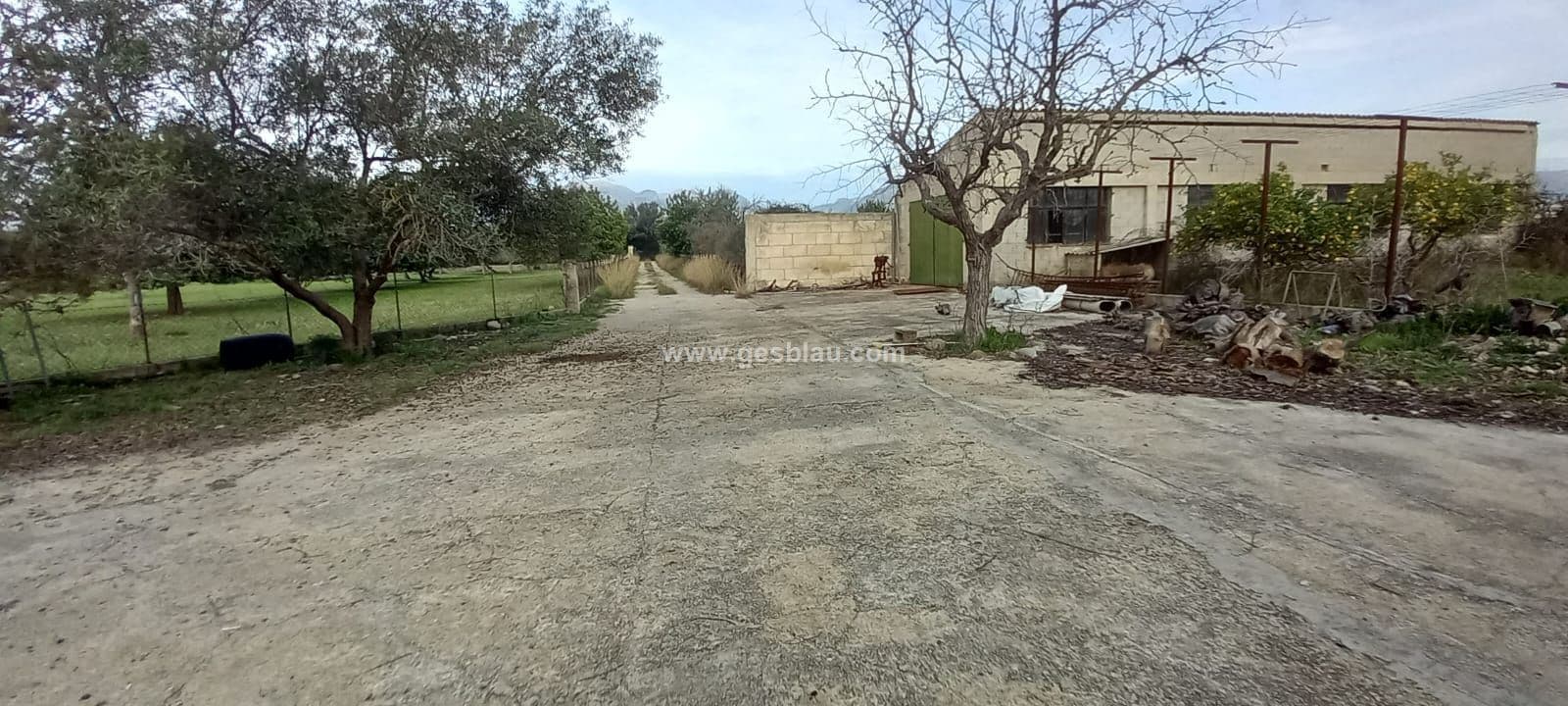 Rustica campanet - Foto 5