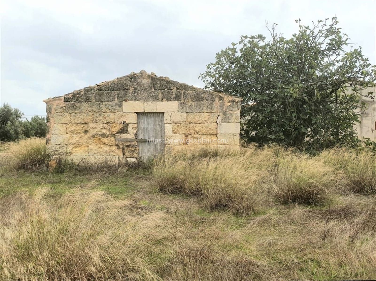 Finca rústica con caseta a reformar - Foto 2