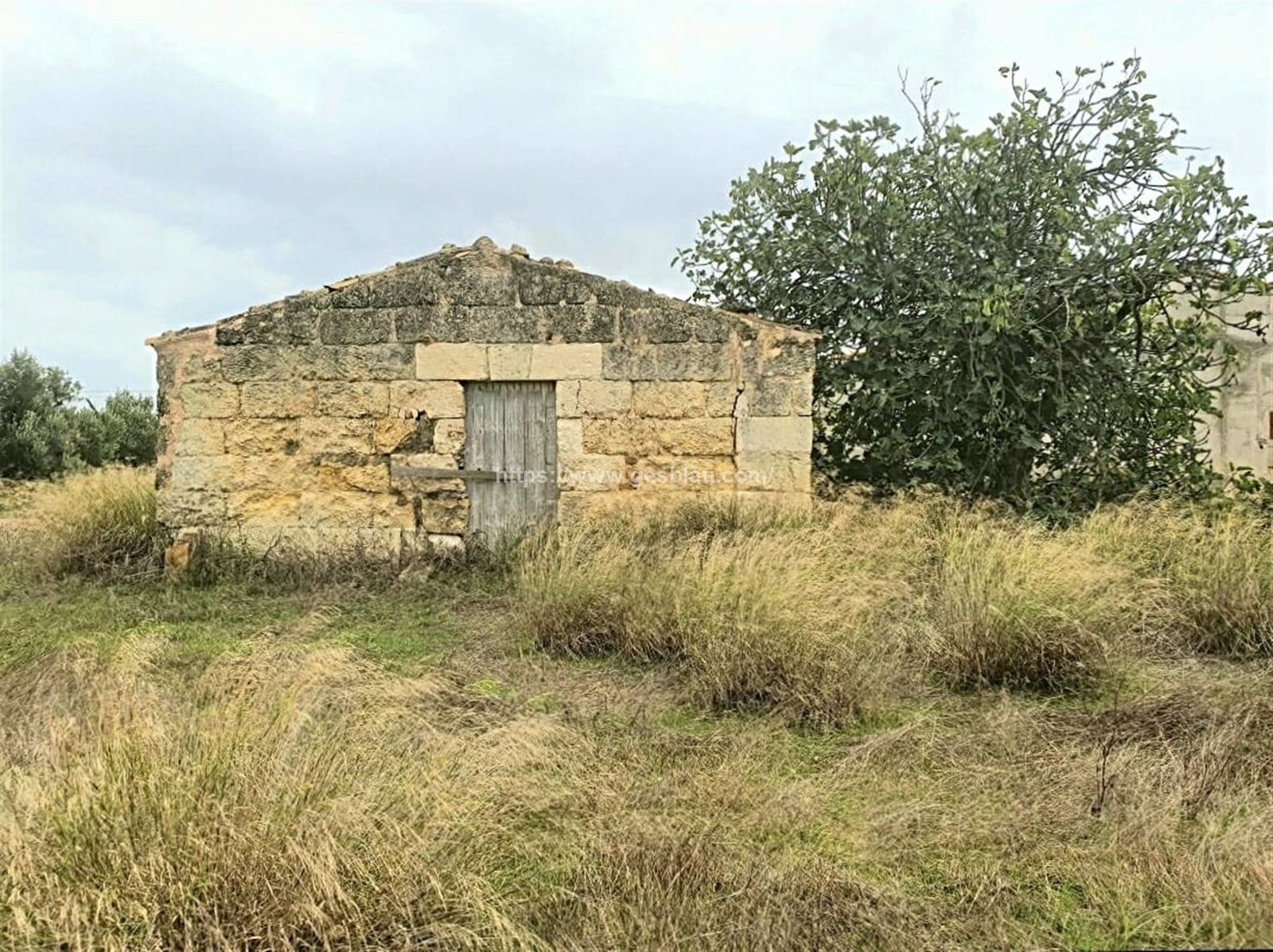 Finca rústica con caseta a reformar - Foto 3