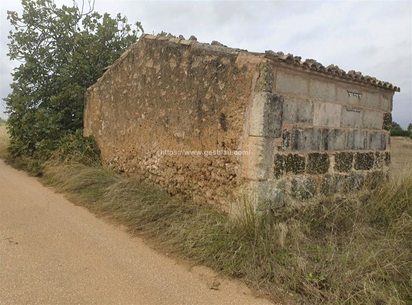 Finca rústica con caseta a reformar - Foto 4