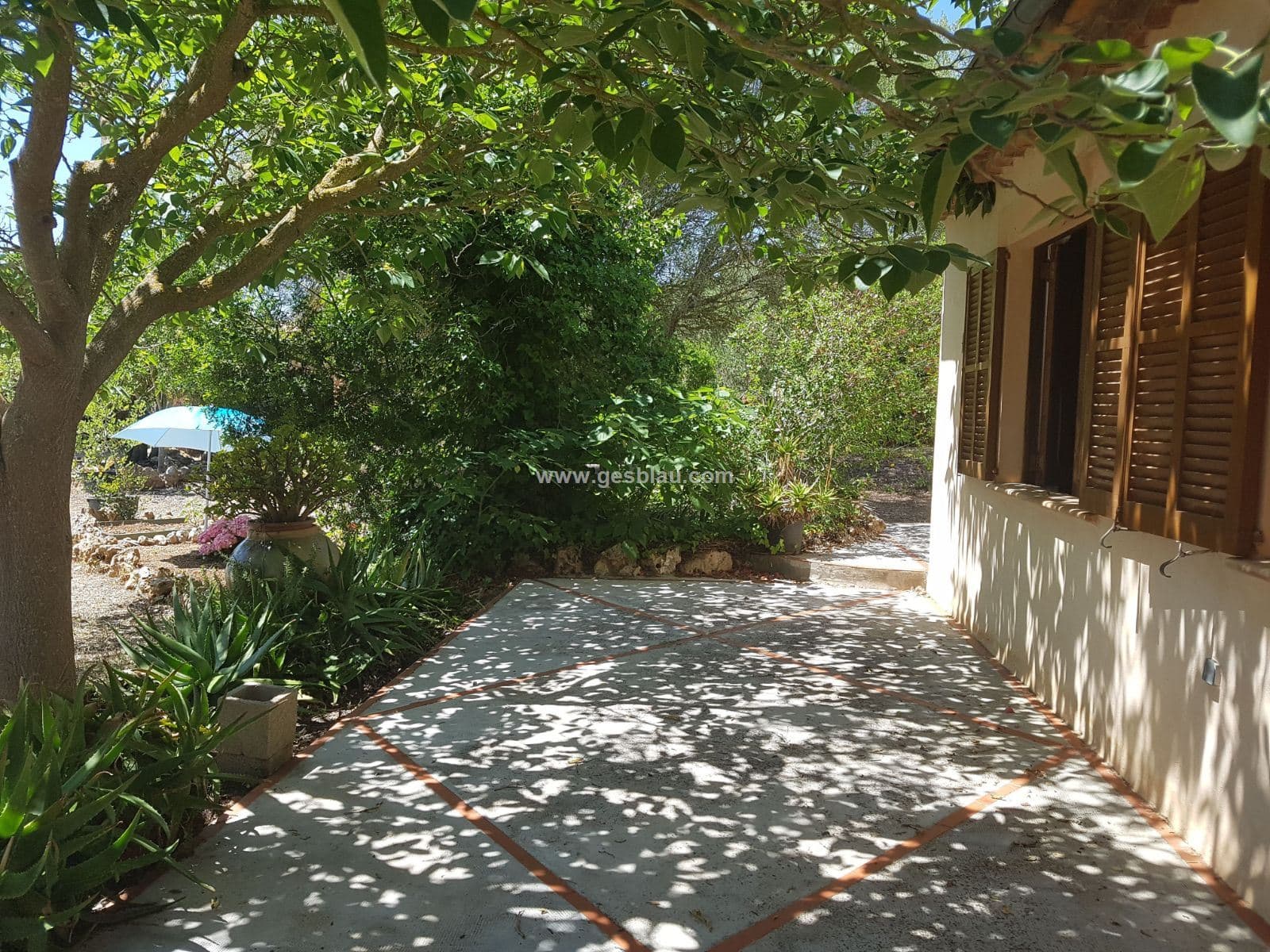 Santa Margalida -  Joya de ensueño - Foto 3