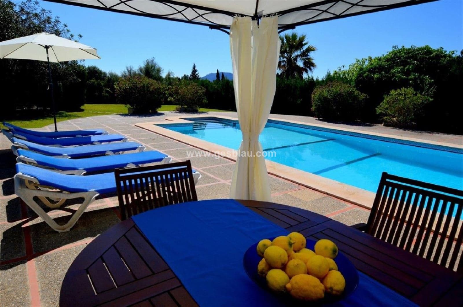 Finca con vivienda unifamiliar y piscina - Foto 1