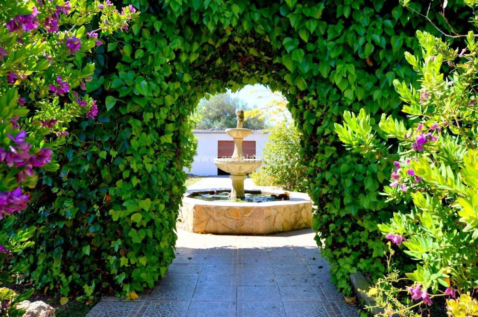 Finca con vivienda unifamiliar y piscina - Foto 5