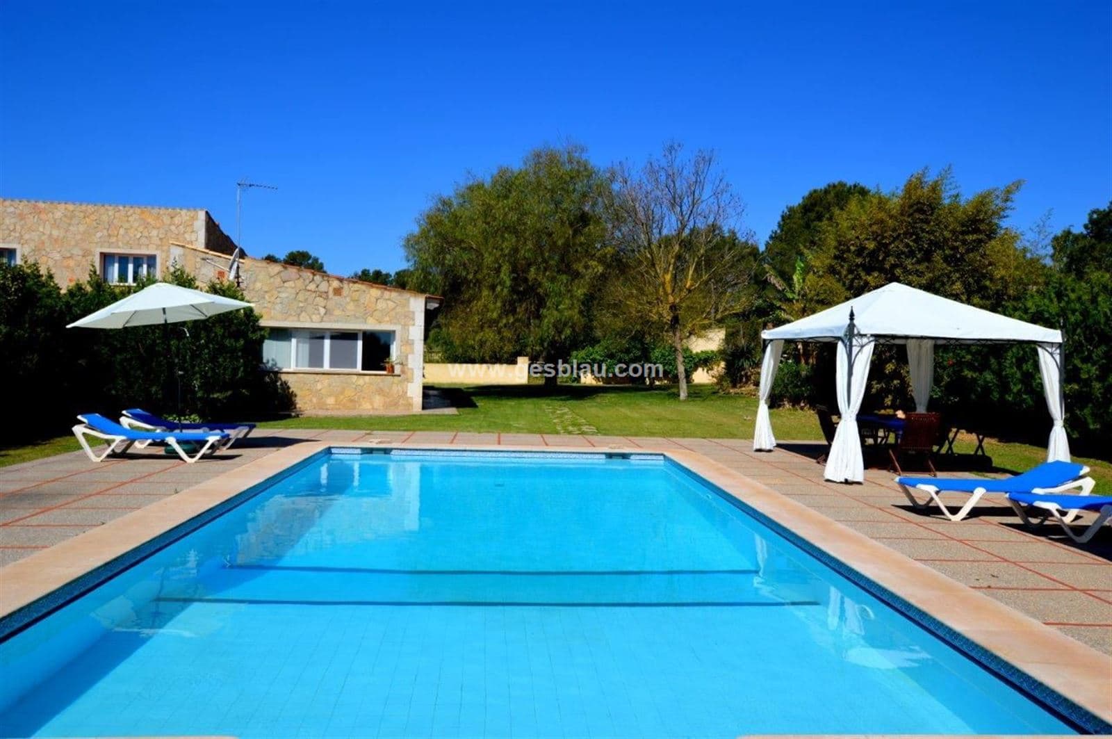 Finca con vivienda unifamiliar y piscina - Foto 2