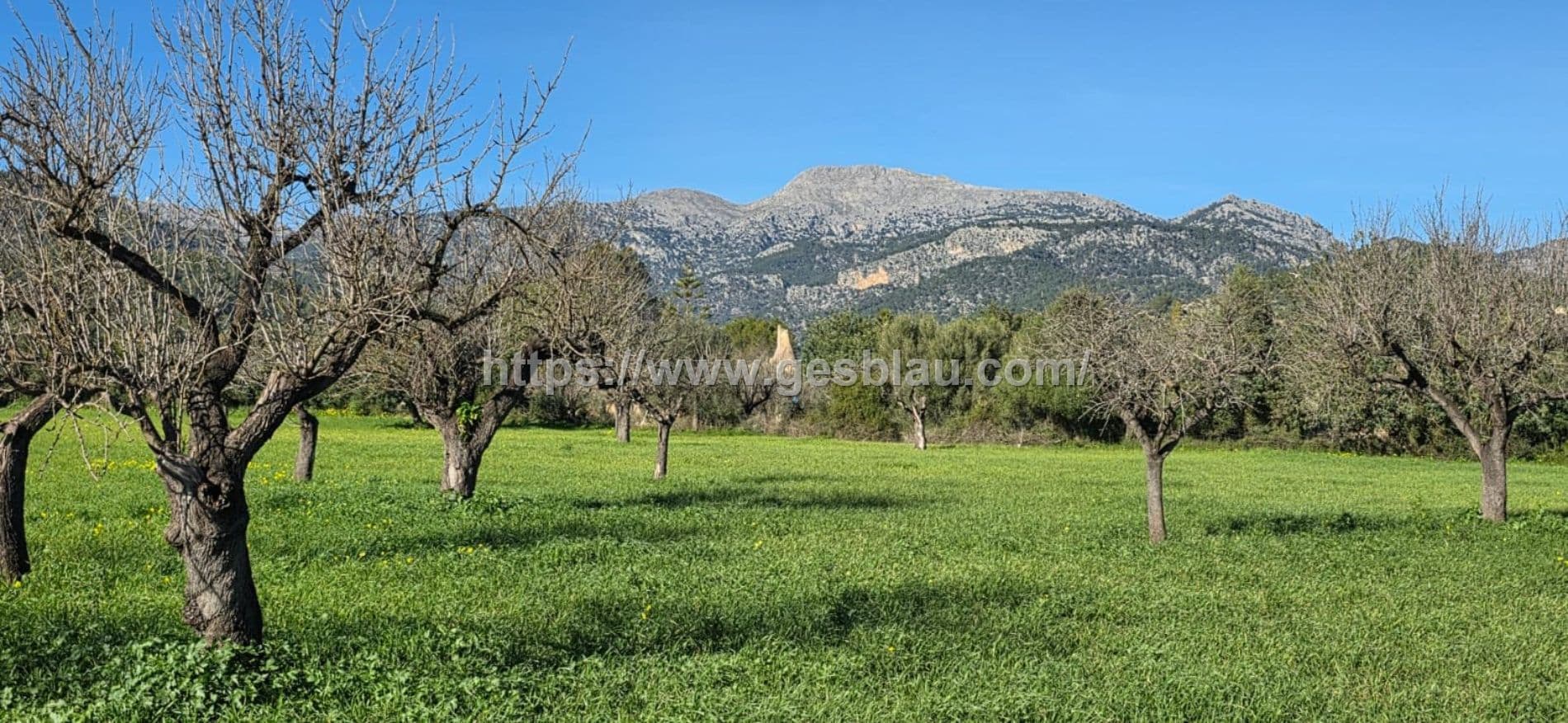 Terreno edificable en SELVA con licencia de obras concedida - Foto 1