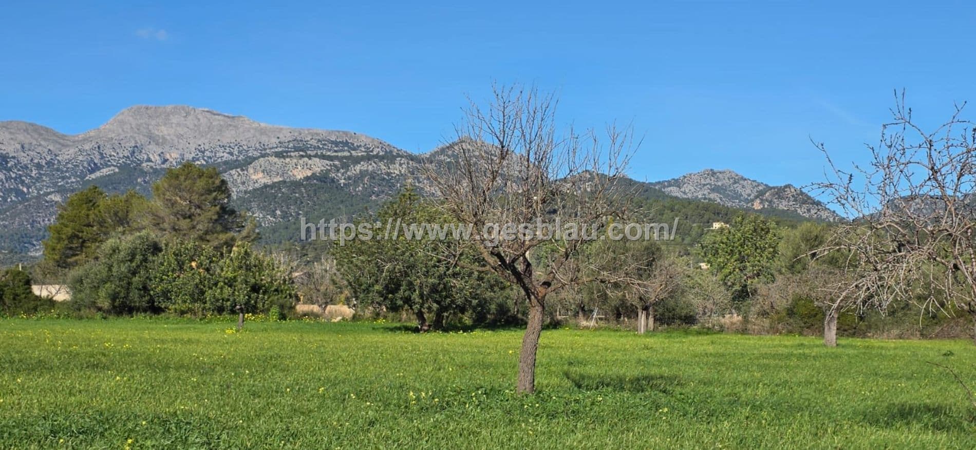 Terreno edificable en SELVA con licencia de obras concedida - Foto 3