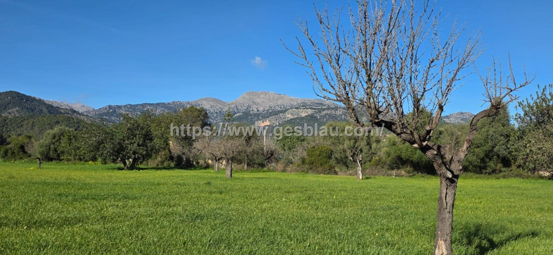 Terreno edificable en SELVA con licencia de obras concedida - Foto 2