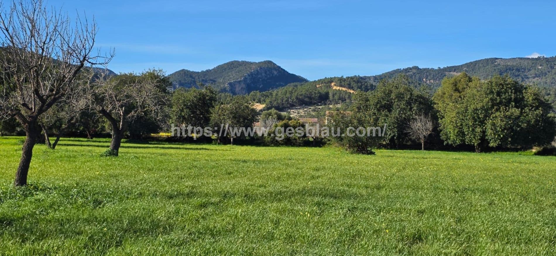 Terreno edificable en SELVA con licencia de obras concedida - Foto 5