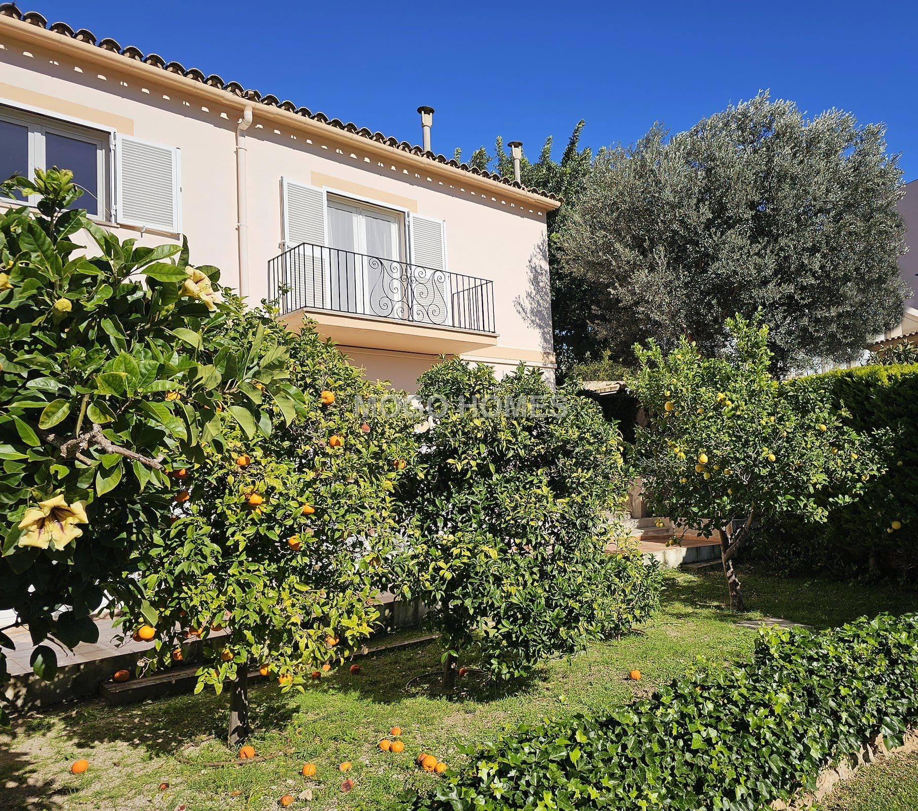 CHALET AMPLIO Y LUMINOSO EN LA BONANOVA - Foto 4