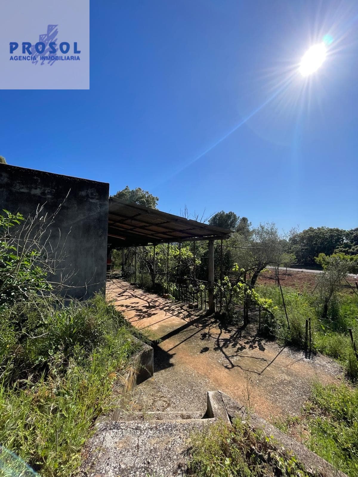 MASÍA EN VENTA TÉRMINO VILLAFAMÉS - Foto 5