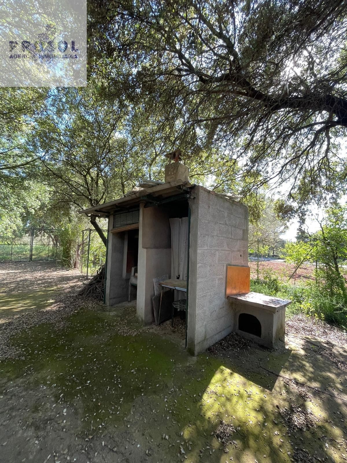 MASÍA EN VENTA TÉRMINO VILLAFAMÉS - Foto 4