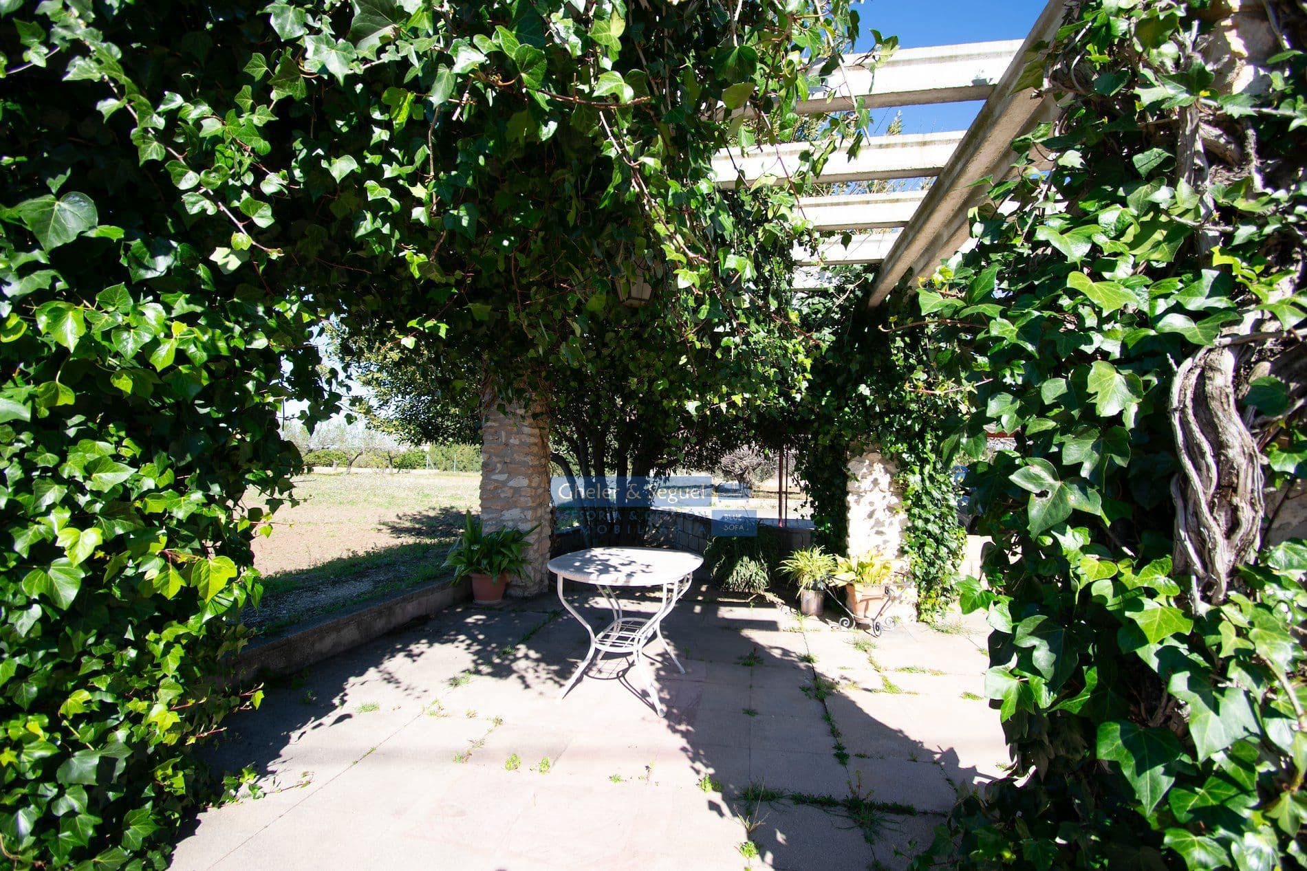 Finca rústica con vivienda tradicional y gran potencial en Ontinyent - Foto 3