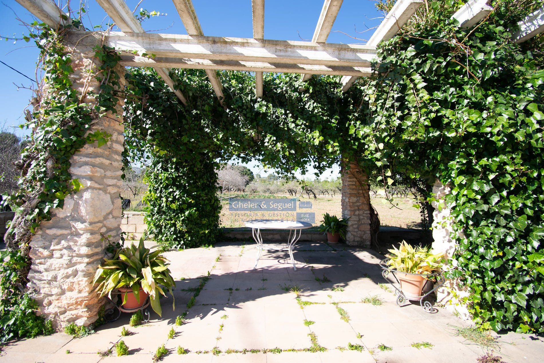 Finca rústica con vivienda tradicional y gran potencial en Ontinyent - Foto 2